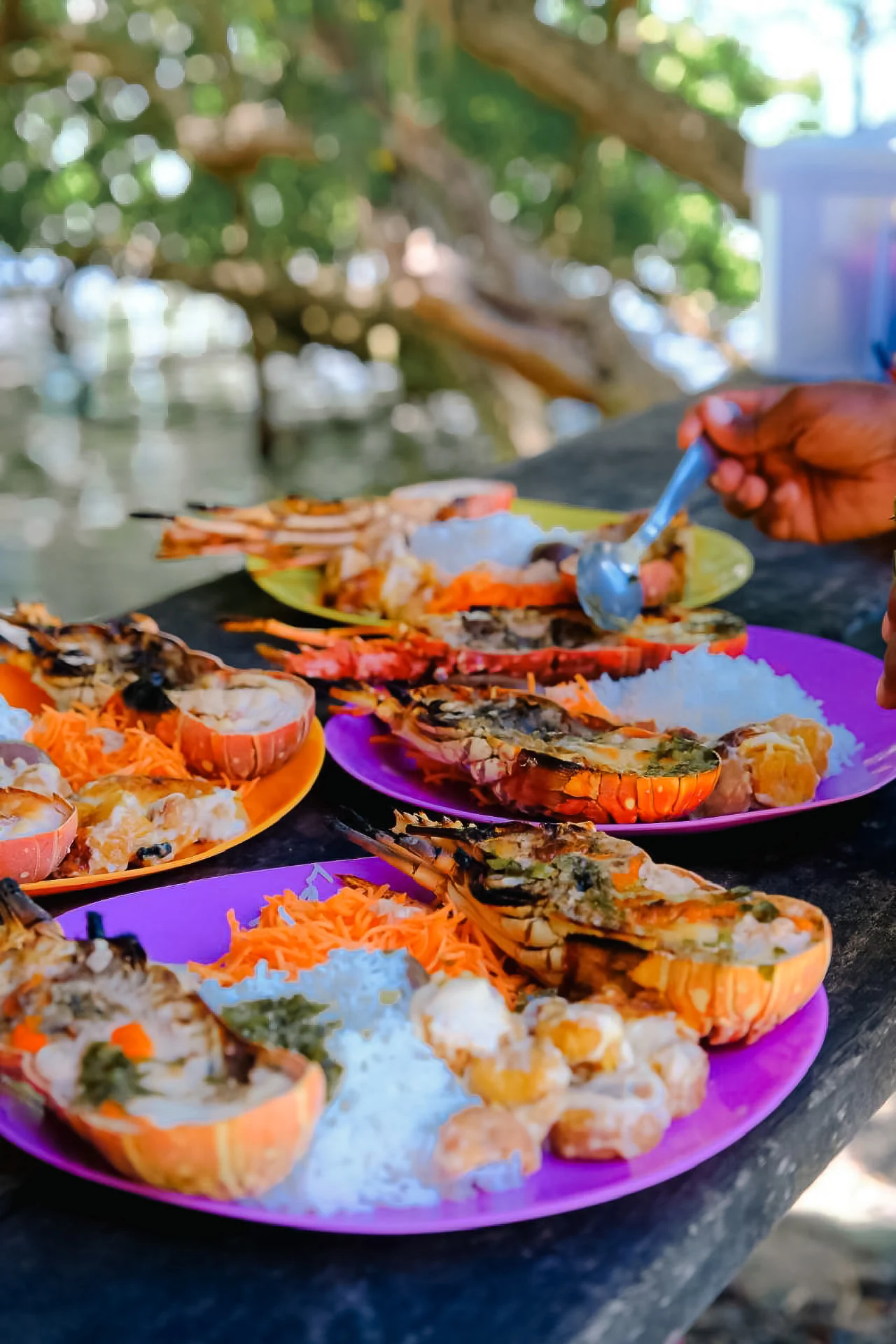 Plat principal : Colombo de poulet, assiette mixte demi-langouste ou langouste entière selon la formule